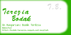 terezia bodak business card